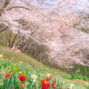 연희주유소 이미지