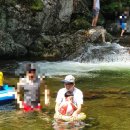 새밭식당 이미지