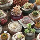 종연농장 이미지