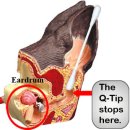 하일동물병원 이미지