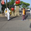 삼승 이미지