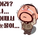캠핑트렁크광주점