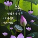 재미있는 우리말 이미지
