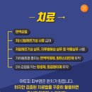 양곡동물병원 네이버블로그