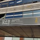 강남 신사동 압구정역 인근 50평 쇼핑몰 사무실 유학원 임대 물건 찾습니다 (사무실 마615) 이미지