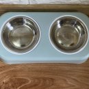 퍼피스테이 온수수영장 애견펜션 이미지