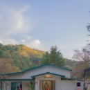 리틀 포레스트 캠핑 이미지