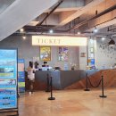 서시장(서시장입구) | 여수 2박 3일 여행 예술랜드, 카페라피끄, 오동도, 바다김밥, 여수현지인맛집 서시장해물삼합 솔직후기