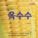 배양초등학교 이미지