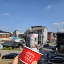 멍멍이와 야옹이 분양 평택점 | 행궁동 성곽길 행궁당, 젤라또와 모찌 기대했던 만큼 아쉬웠던 이유