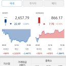 240220 국내주식시황🩷