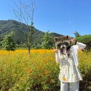 세겐돈가스 | [포천 여행]분위기 있는 숙소부터 가든페스타까지 1박 2일 코스 🌸🚎