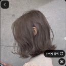 태오조명인테리어 | 안산 선부역 미용실 제스트헤어 선부역점 블랙빼기 탈색 애쉬 염색 맛집