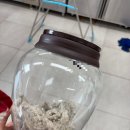 (주)동화미생물연구소 | [수원] 2026년 수원 전통주 교육 자세한 후기 1 (전통주 / 삼양주 만들기 🍸), 수원시농업기술센터 새빛...