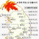 전국 명산 단풍 시기 이미지