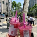 2025 바나프레소 메뉴 가격 | 수박주스는 바나프레소🍉 디저트 + 오늘의 운세