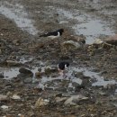 고잔근린공원 이미지