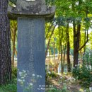 국궁장(신도정) 이미지