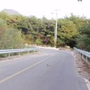 제천공인중개사사무소 이미지