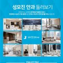 성모안과의원 이미지