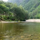 강애산애 이미지