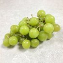 달콤아삭