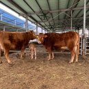 제천농장 이미지