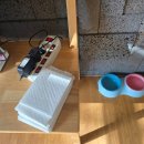 더블스테이 또또멍 애견펜션 이미지