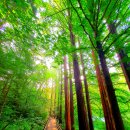 청계 맑은숲공원 | 의왕 청계계곡 청계천 청계산맑은숲공원 청계사 청계산