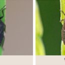 울산광역시 농업기술센터 이미지