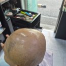 나나가발미용실 부산해운대점 | 부산가발 나나가발미용실 부산해운대점 후기