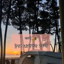 돌고래오토캠핑장2 | 태안 해루질하기 좋은 오션뷰 몽산포 오토캠핑장 2구역 후기