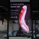 숙달돼지문래