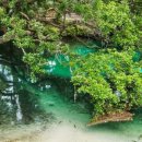 지니스프링스 이미지