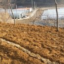 잔디 농장 이미지