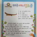 💙12월 2일 사랑하는 하늘반의 네번째 동물체험-파충류🐊🦎-활동💙 이미지