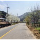 약돌배테마관광마을 이미지