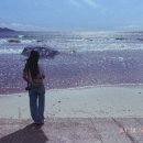 오름헤어 - 달성군 | 오름헤어