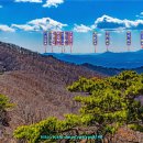 종자산 등산로 이미지