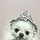 아성컴퍼니 이미지