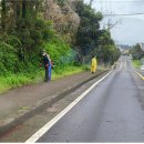 중산간동로 이미지