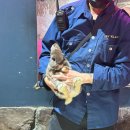 3244 | 한 번에 즐길 수 있는 토이빌리지 대구혁신점 방문후기(주차·요금·운영시간·물범먹이주기·금붕어...