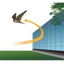 와이에이치(주) 이미지