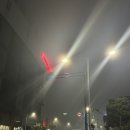 권이 스쳐가고 있는 한 주/문화생활 plz/맥도날드 진주 크림치즈 고추버거/스타벅스 멜론 프라푸치노 후기