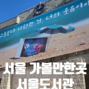 광장DVD | 서울 가볼만한곳 서울도서관 여행 구경 서울광장 방문 후기