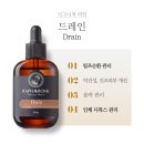 라파에스테틱 이미지