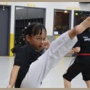 용인대대영태권도 이미지