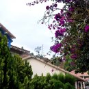 마츄피츄 이미지