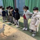 🐰🐴다양한 동물들을 구경하고 먹이를 주러 하하농장에 다녀왔어요!🐇🐷 이미지