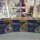 이음약국 이미지